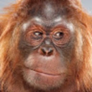 Meet your Posher, Brad